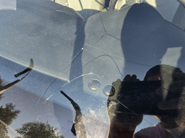 Technician removing a damaged windshield from a car
